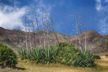 Cabo de Gata - národní park - Costa de Almería - výlety